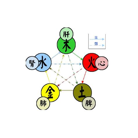 運動五行屬性|五行(對萬事萬物的取象比類):簡介介紹,涵義解析,初始含義,對應關。